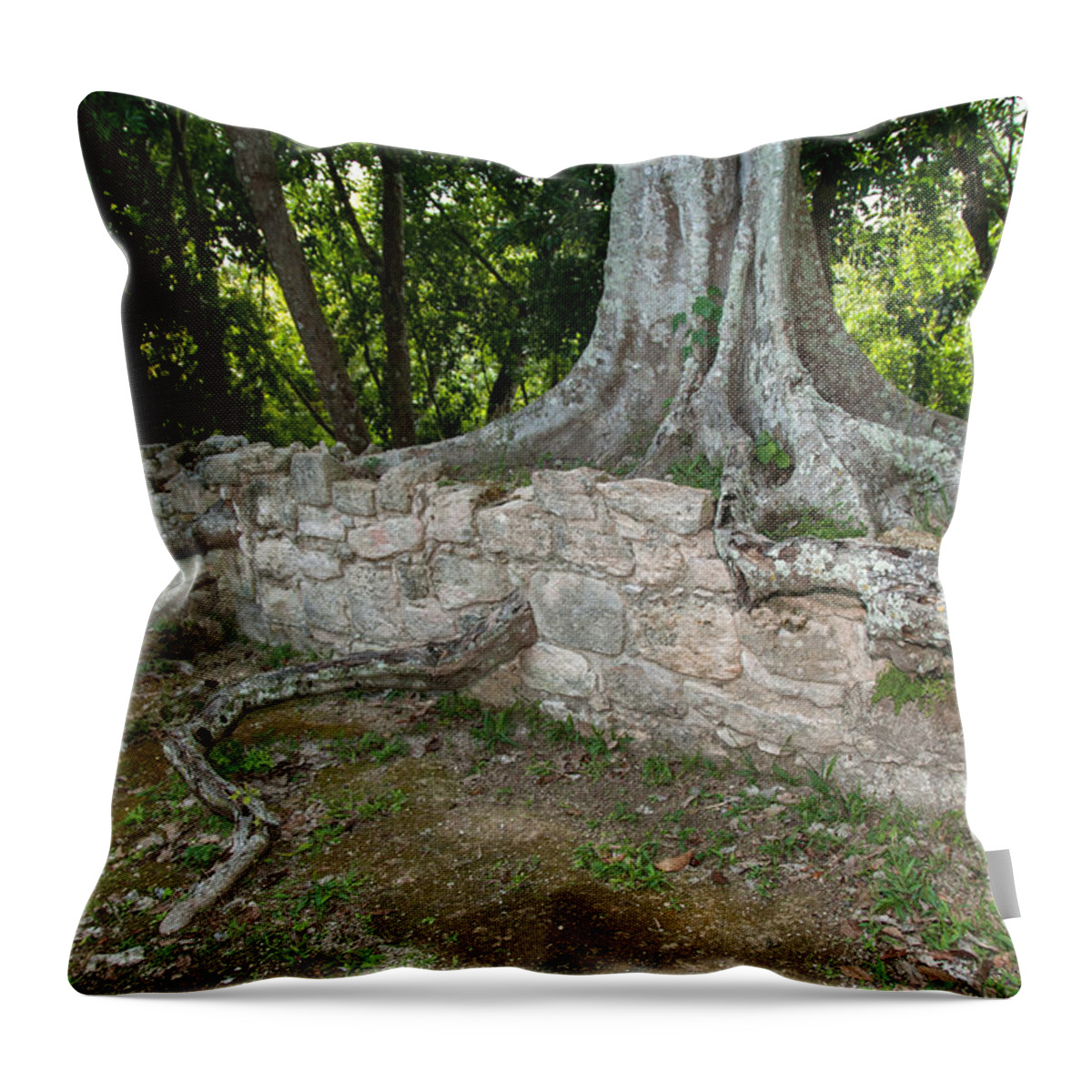 Mexico Quintana Roo Throw Pillow featuring the digital art Tree growing through the Ruins in Oxtankah by Carol Ailles