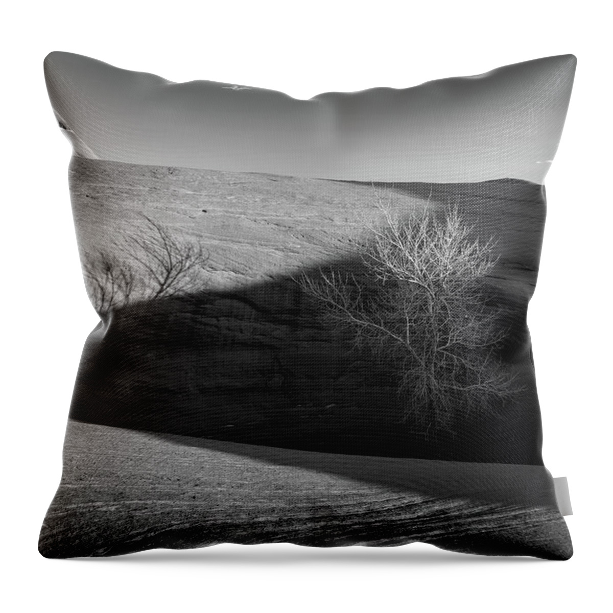 Tree Throw Pillow featuring the photograph Tree in the Rock by James Udall