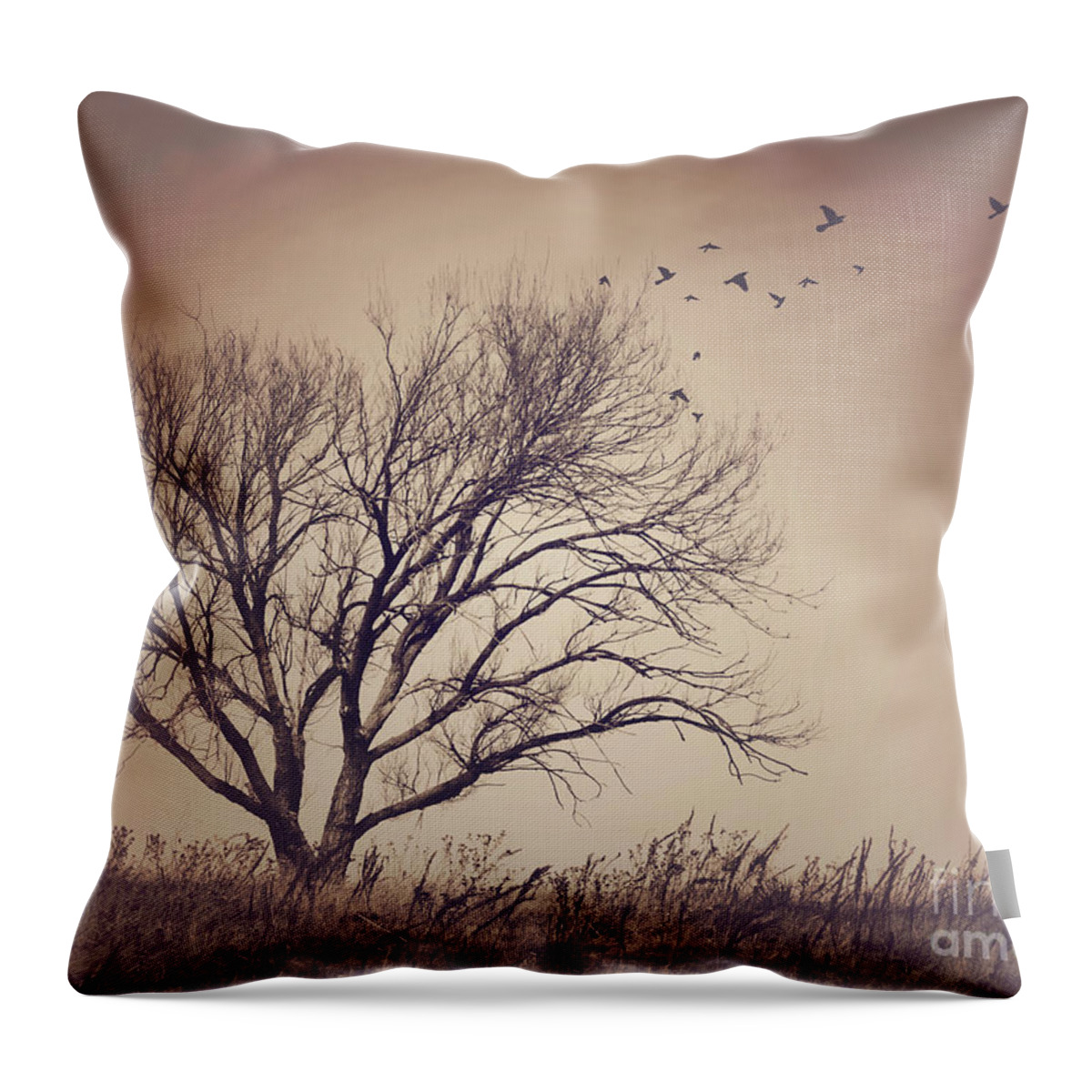 Tree Throw Pillow featuring the photograph Tree by Juli Scalzi