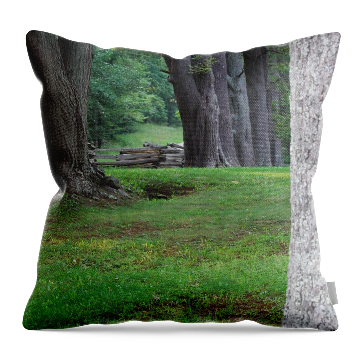 Trees Throw Pillow featuring the photograph Tree Line by Eric Liller