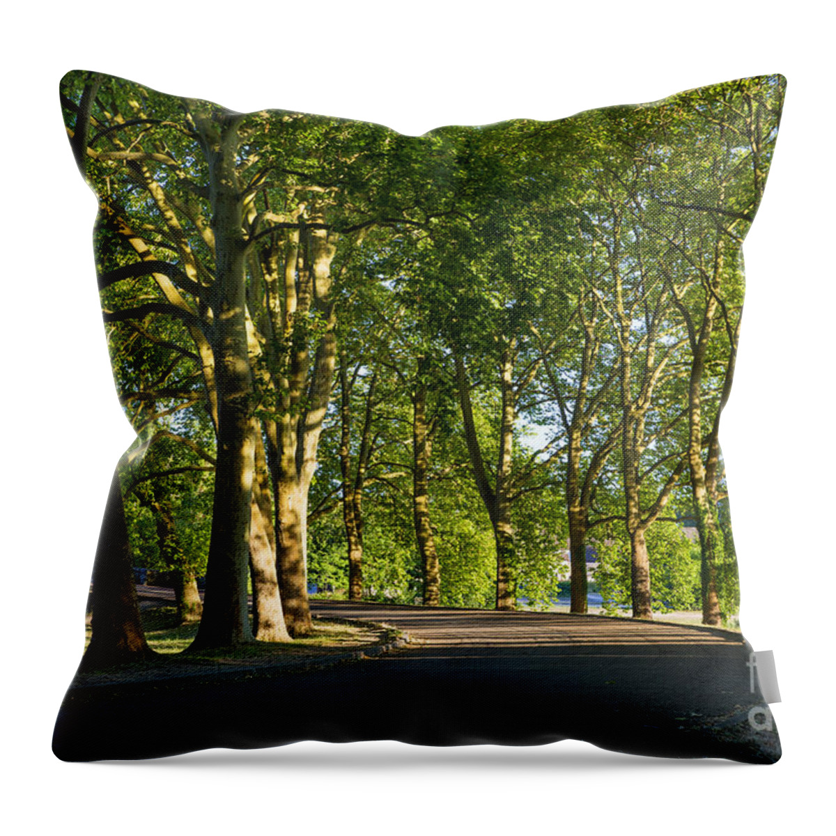 France Throw Pillow featuring the photograph Tree-lined Avenue by Brian Jannsen