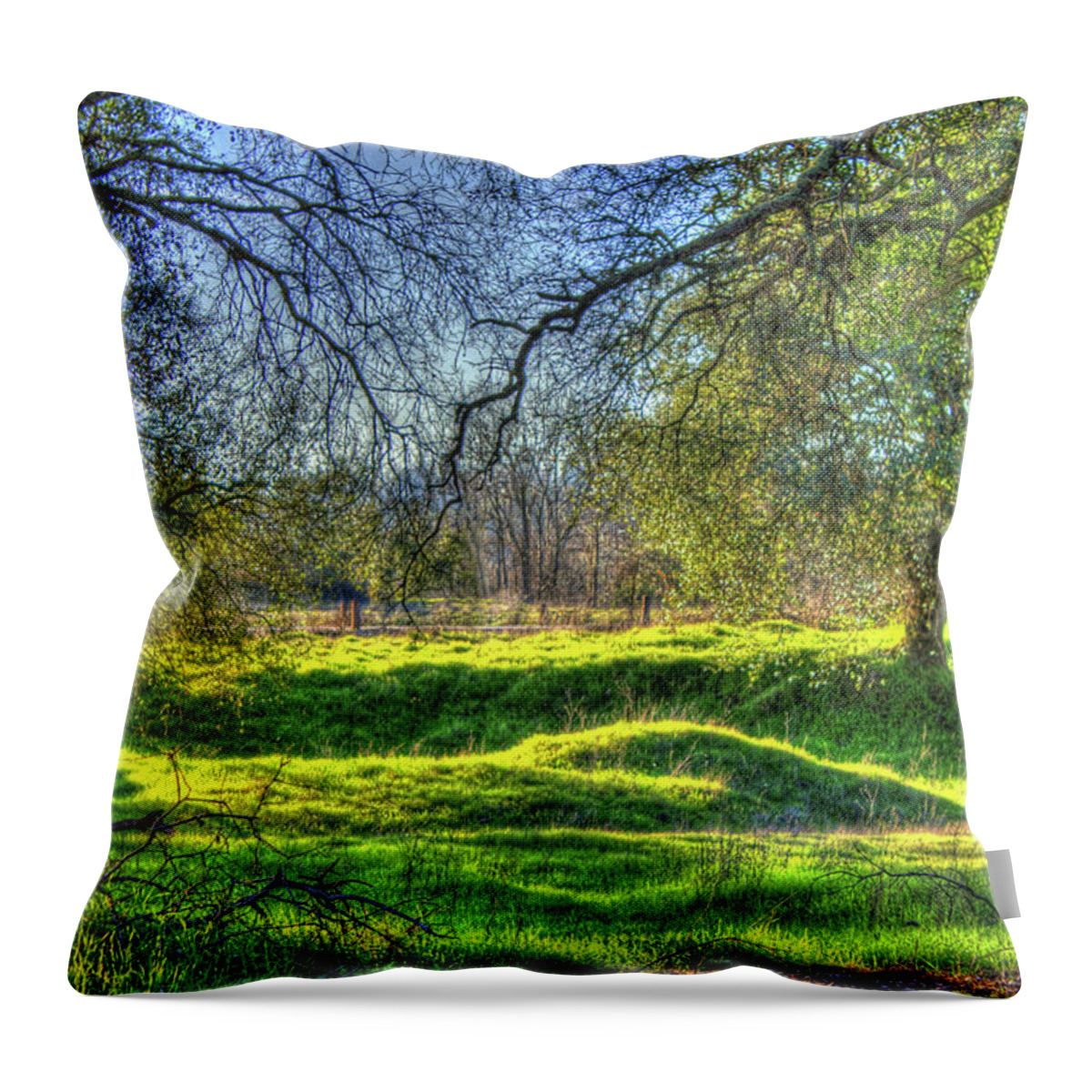 Hdr Throw Pillow featuring the photograph Tree Lined Meadow by Randy Wehner