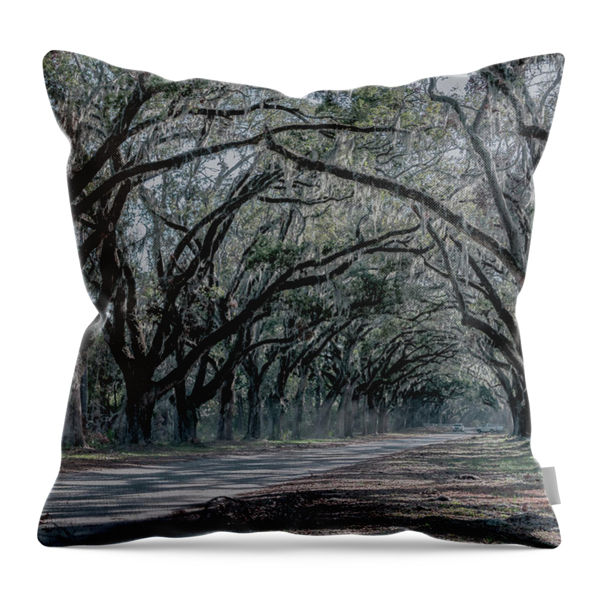 Trees Throw Pillow featuring the photograph Tree lined way by Roni Chastain