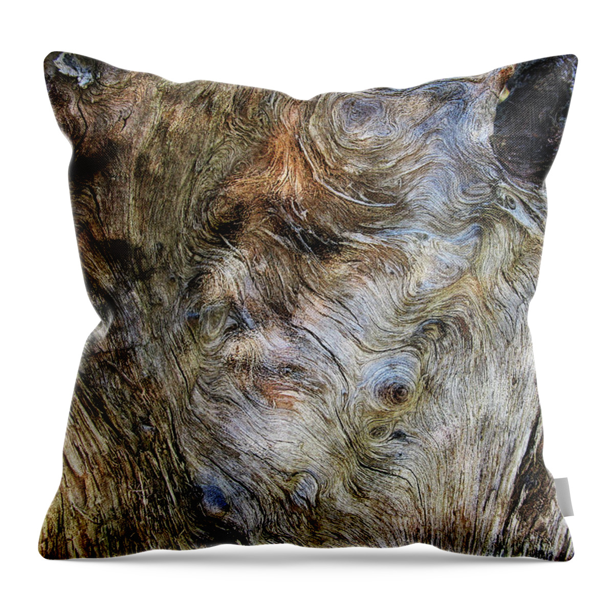 Trees Throw Pillow featuring the photograph Tree Memories # 15 by Ed Hall