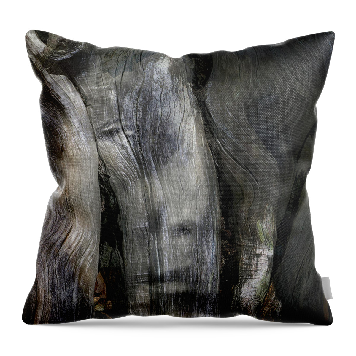 Trees Throw Pillow featuring the photograph Tree Memories # 20 by Ed Hall