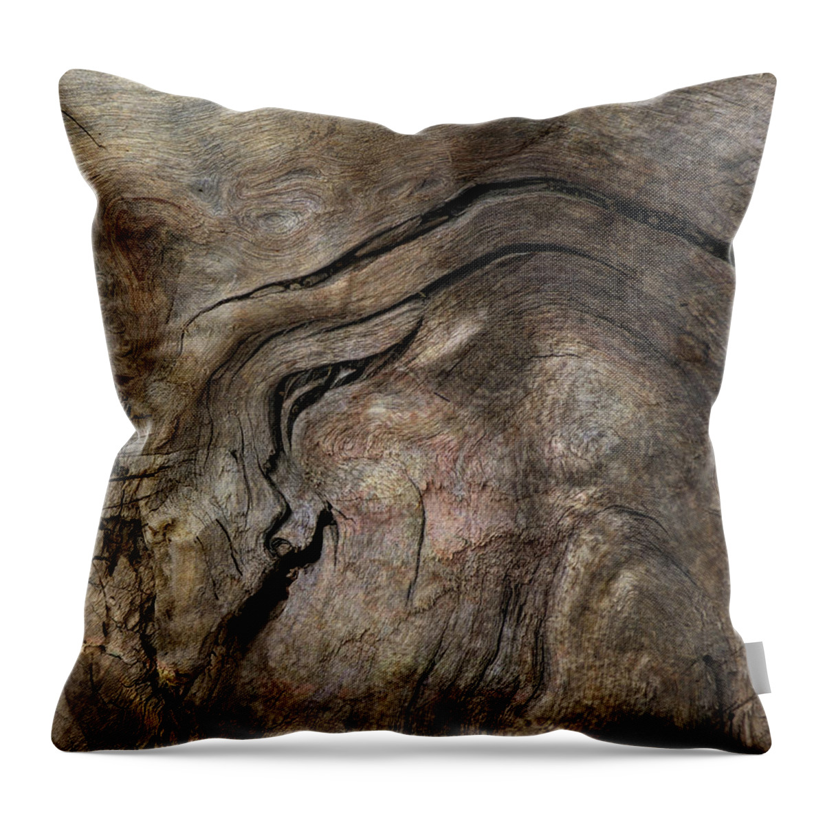 Trees Throw Pillow featuring the photograph Tree Memories # 23 by Ed Hall