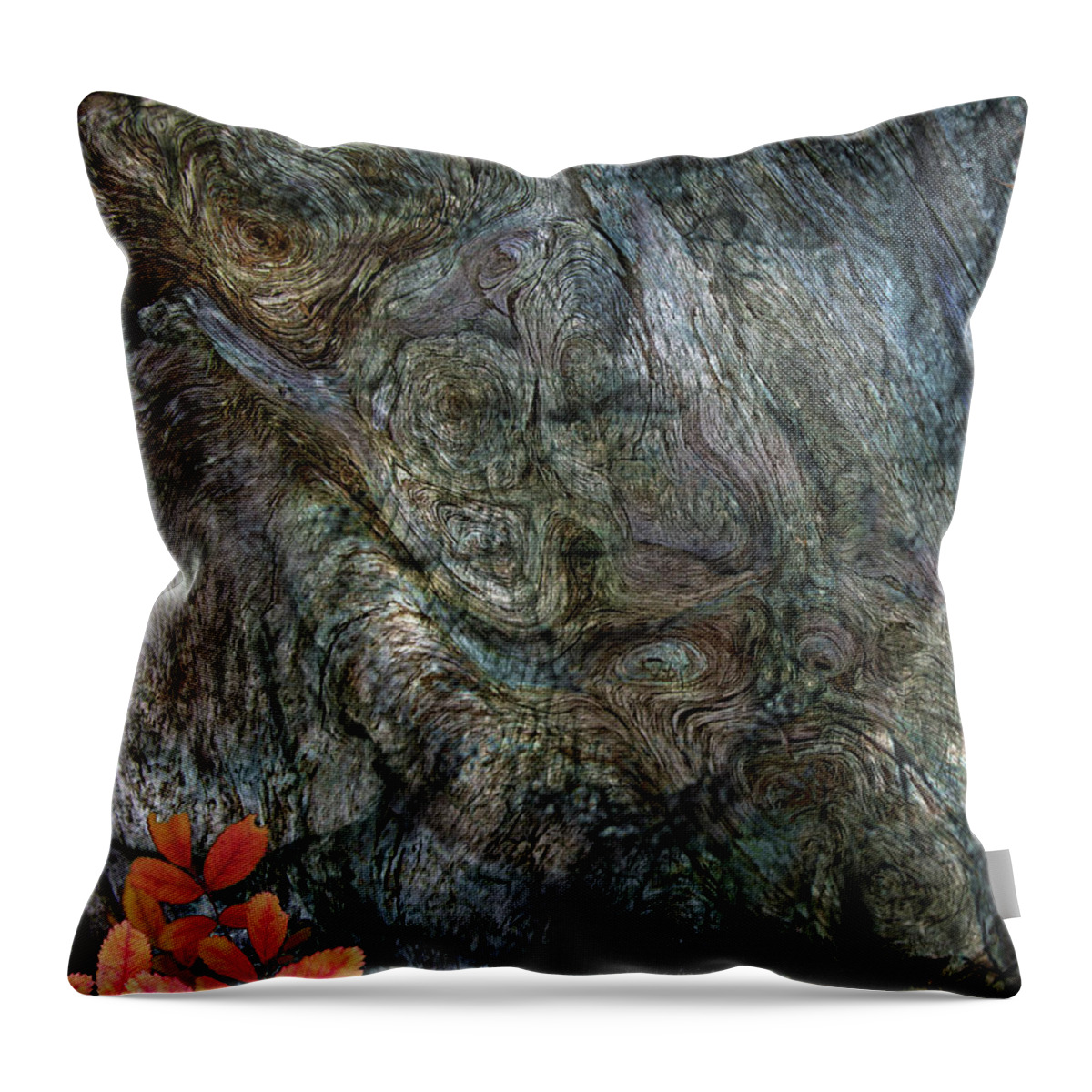 Trees Throw Pillow featuring the photograph Tree Memories # 33 by Ed Hall