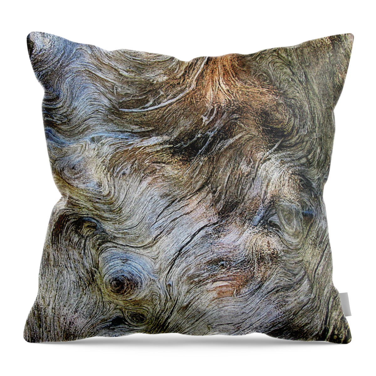 Trees Throw Pillow featuring the photograph Tree Memories # 40 by Ed Hall