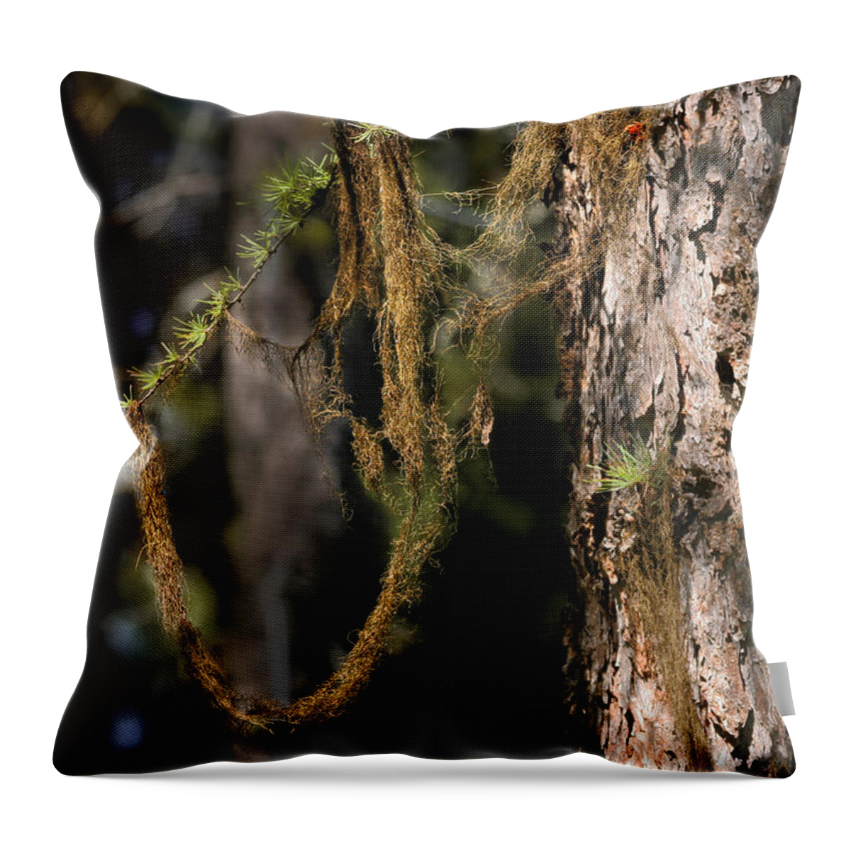 Moss Throw Pillow featuring the photograph Tree moss - Green soft beauty by Alexandra Till