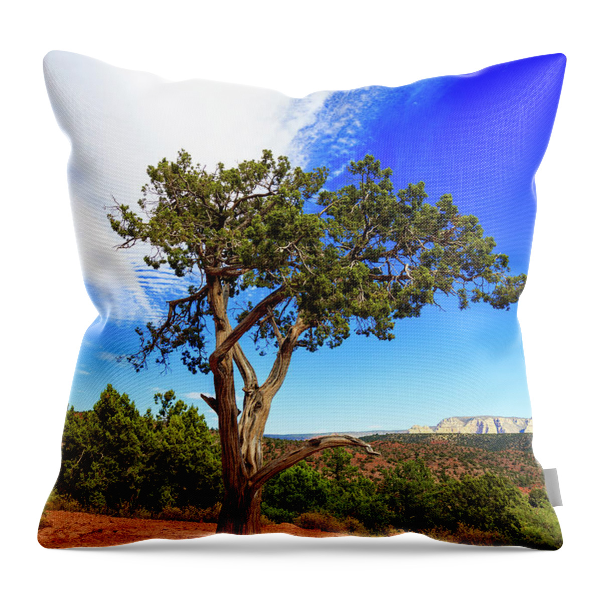 Arizona Throw Pillow featuring the photograph Tree of Life II by Raul Rodriguez
