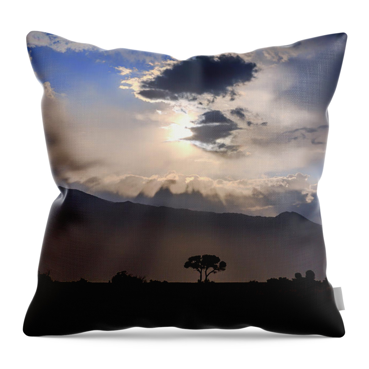 Clouds Throw Pillow featuring the photograph Tree of Light by Cat Connor