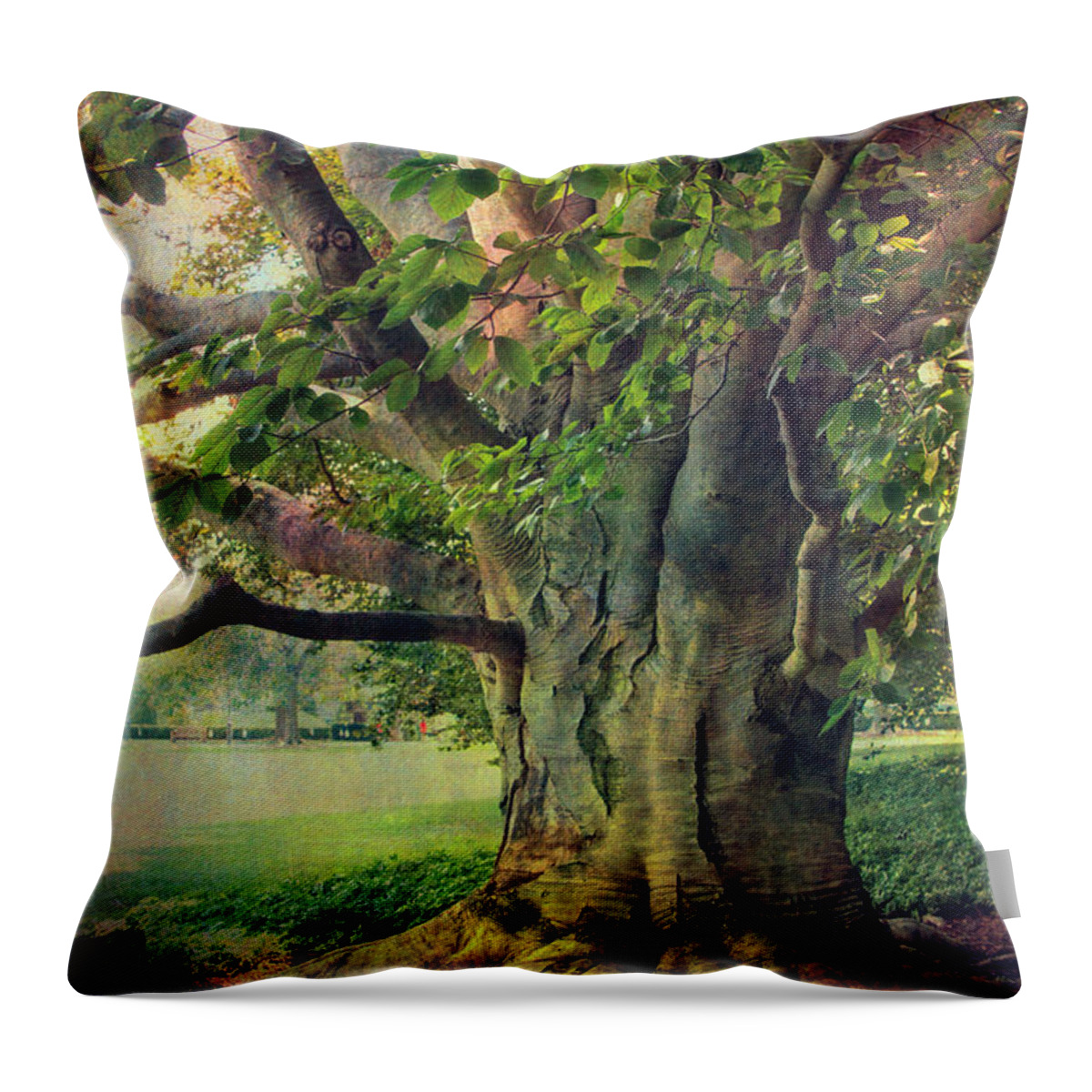 Tree Throw Pillow featuring the photograph Tree of Wisdom by John Rivera