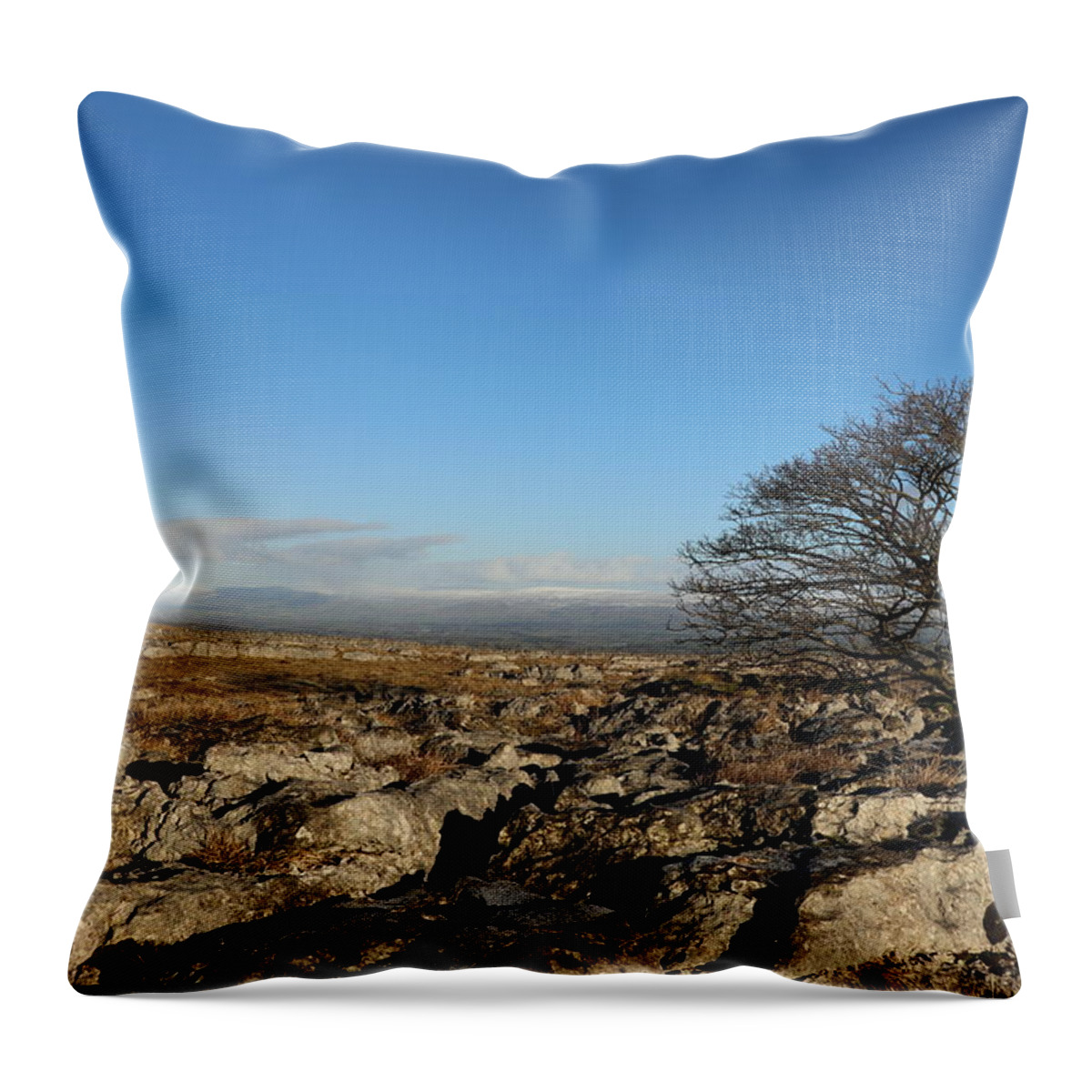 Sky Throw Pillow featuring the photograph Tree on the rocky desert by Lukasz Ryszka