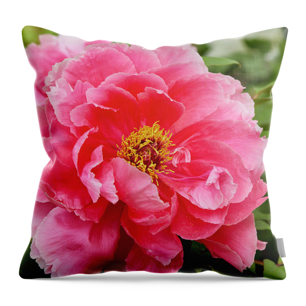 Garden Gate Throw Pillow featuring the photograph Tree peony by Garden Gate magazine