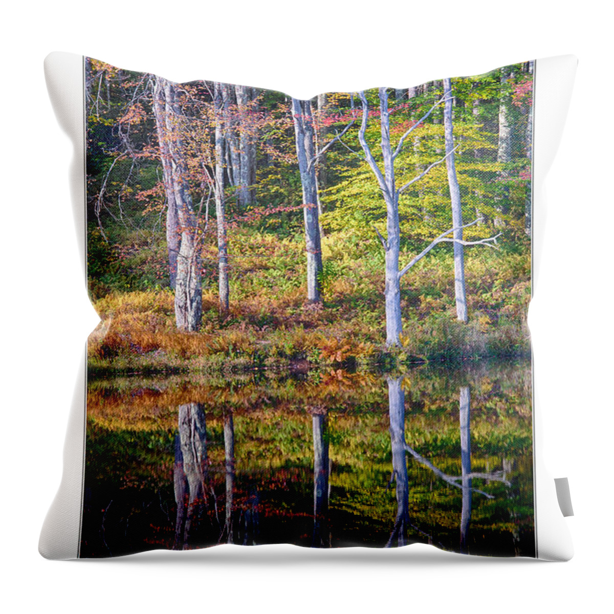  Throw Pillow featuring the photograph Tree Print by R Thomas Berner