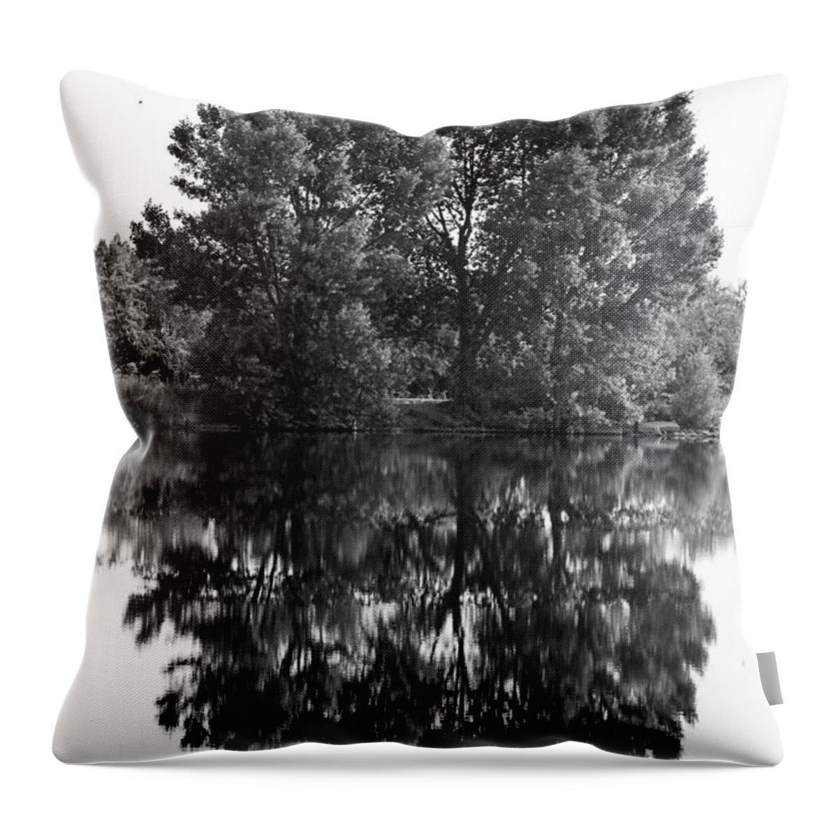 Reflections Throw Pillow featuring the photograph Tree Reflection in Black and White by James BO Insogna