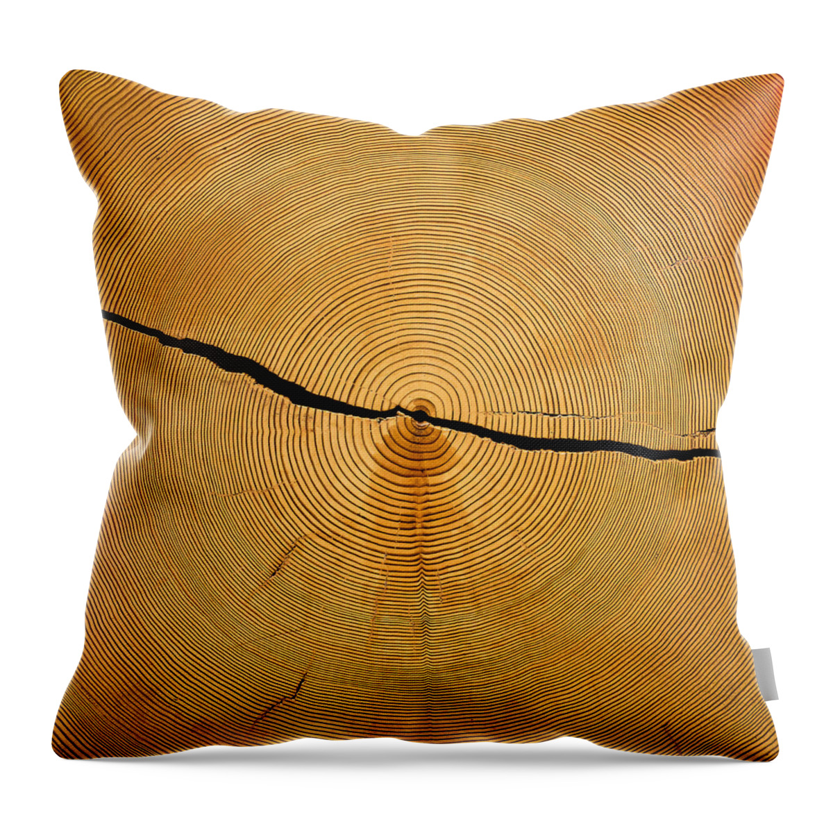 Tree Rings Throw Pillow featuring the photograph Tree Rings by Steven Ralser