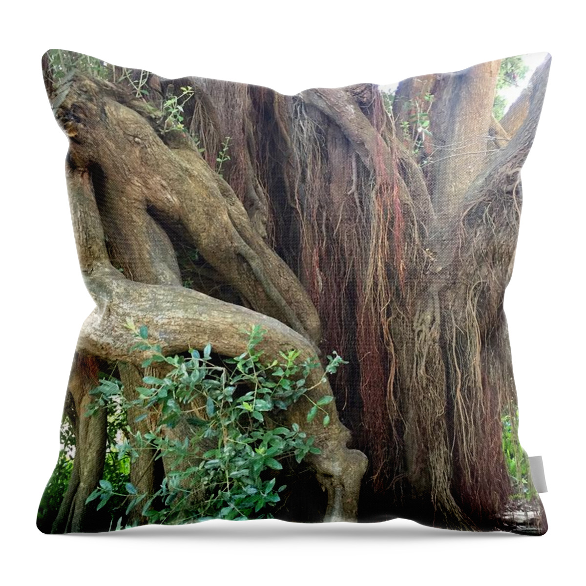 Tree Throw Pillow featuring the mixed media Tree time by Lauren Serene