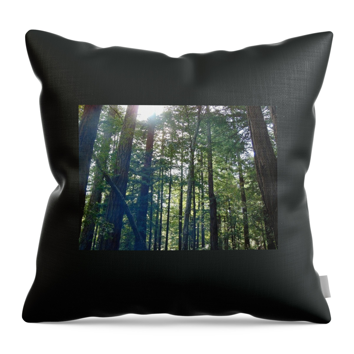 Nature Throw Pillow featuring the photograph Tree Tops by Shane Allen