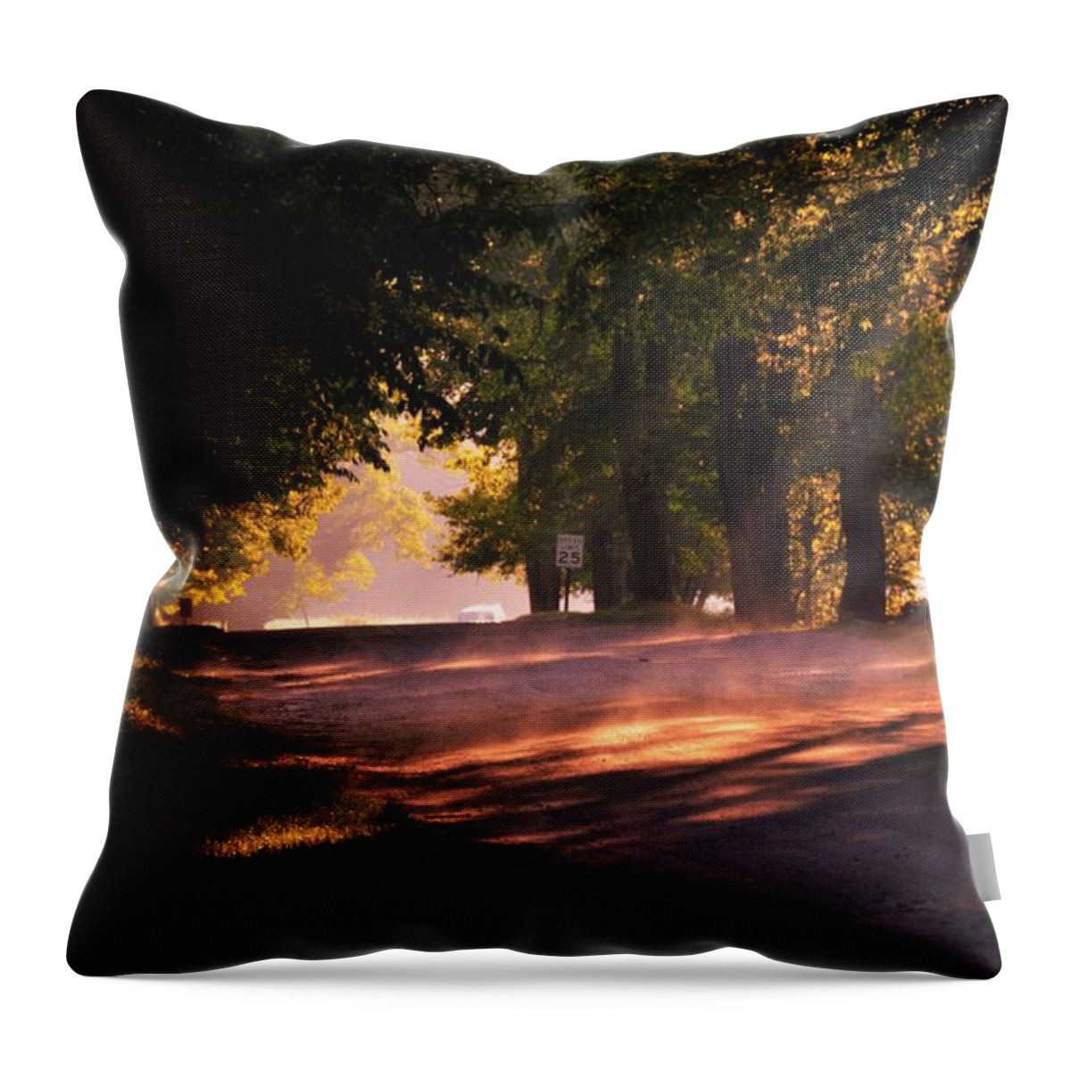  Throw Pillow featuring the photograph Tree Tunnel by Chuck Brown