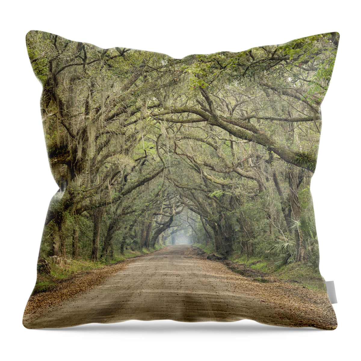 Tree Throw Pillow featuring the photograph Tree Tunnel by Denise Bush