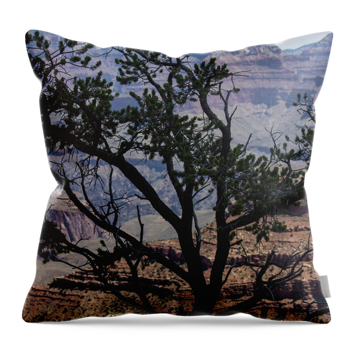 Grand Canyon Throw Pillow featuring the photograph Tree View Grand Canyon by Roberta Byram