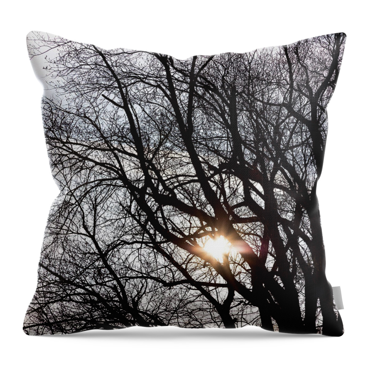 Tree Throw Pillow featuring the photograph Tree With a Heart by James BO Insogna