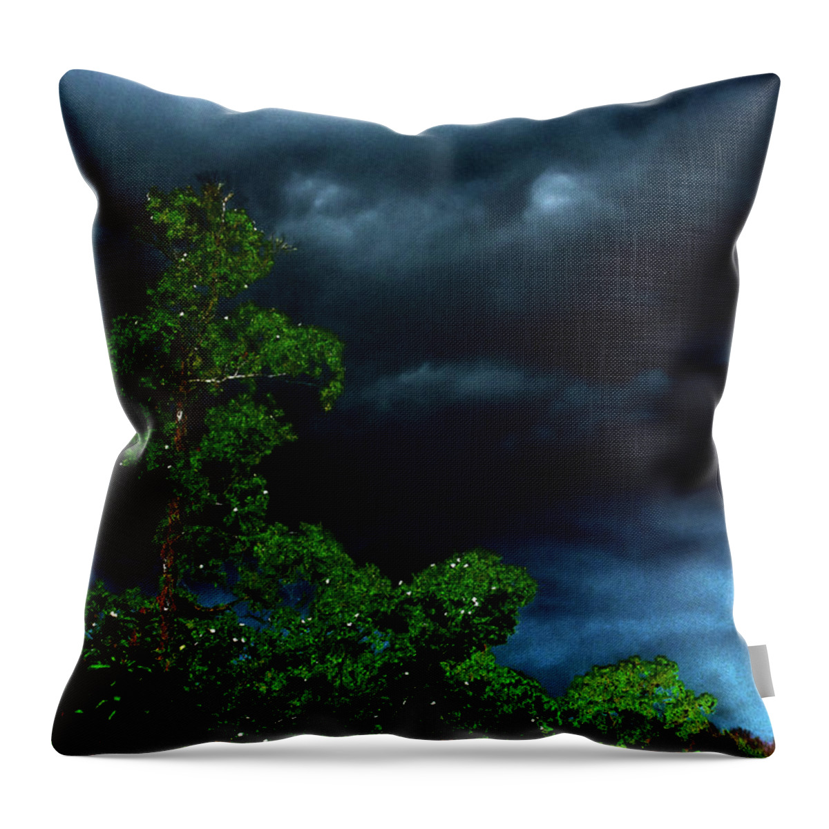 Storm Clouds Throw Pillow featuring the photograph Trees and Storm Clouds in HDR by Gina O'Brien