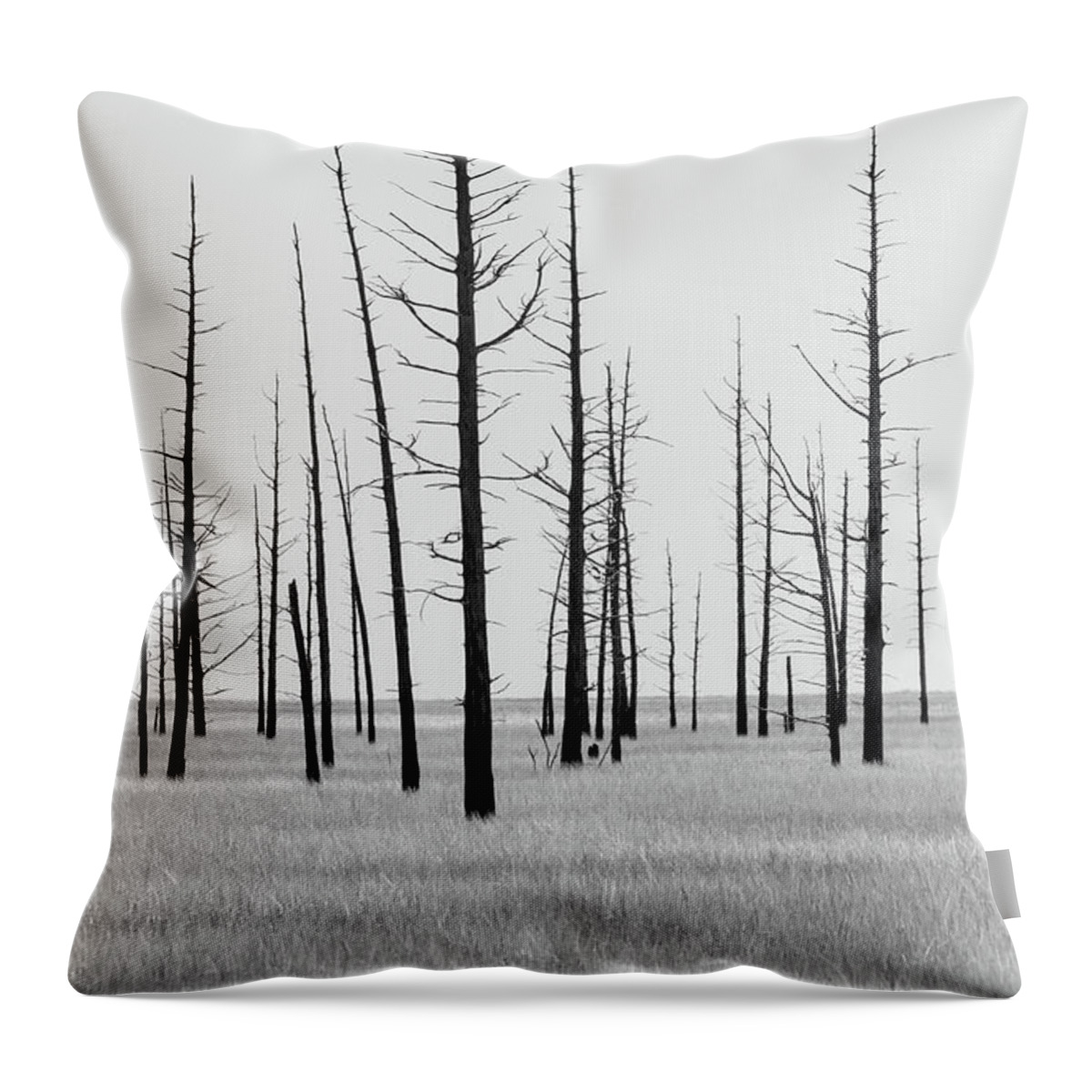 Landscape Throw Pillow featuring the photograph Trees Die off by Louis Dallara