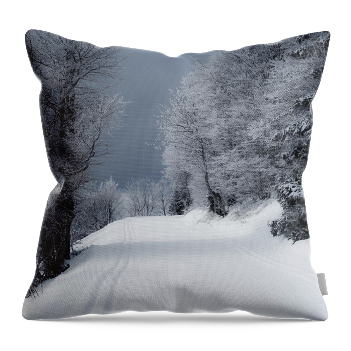 Miguel Throw Pillow featuring the photograph Trees Hills and Snow by Miguel Winterpacht