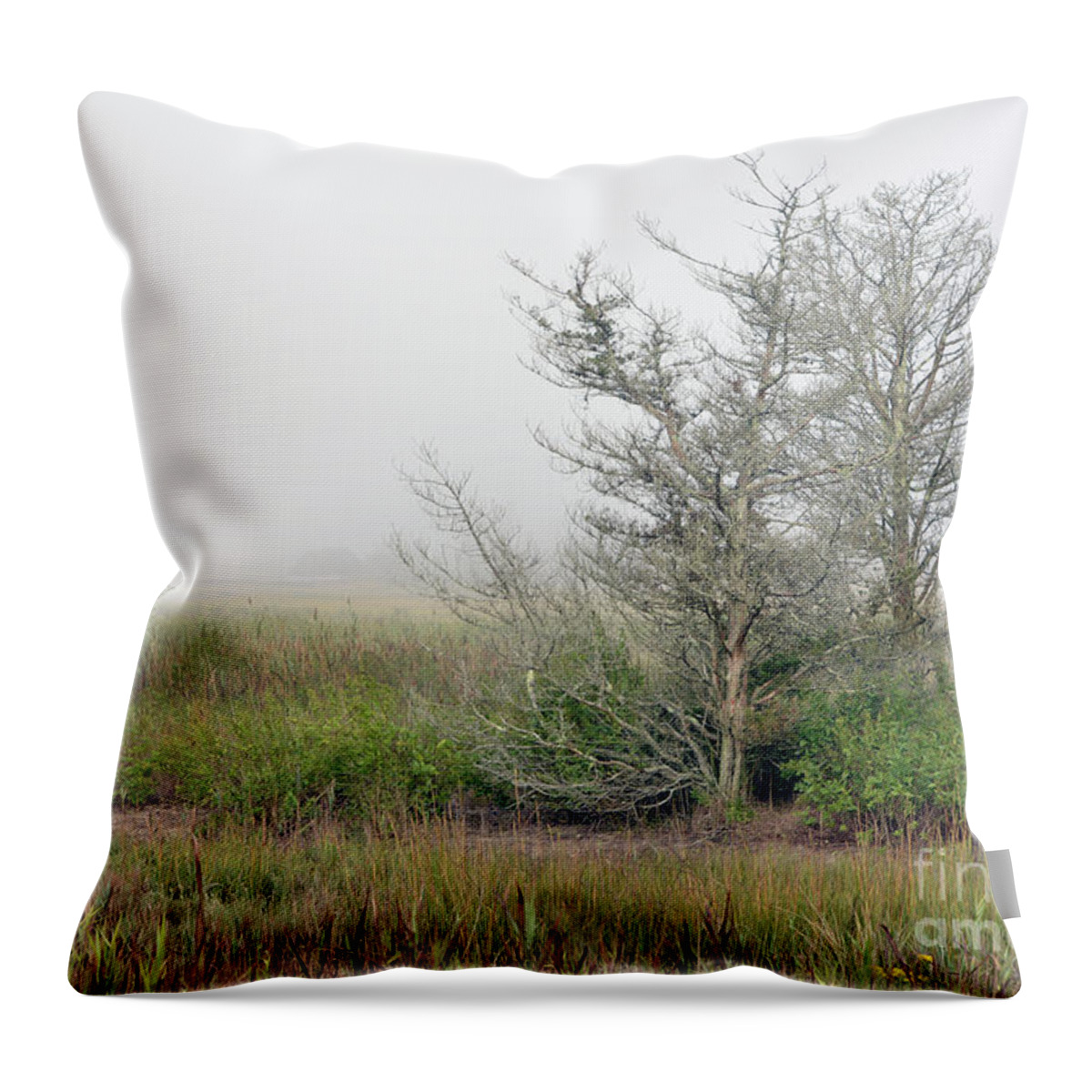 Fall Throw Pillow featuring the digital art Trees in Fog by Dianne Morgado