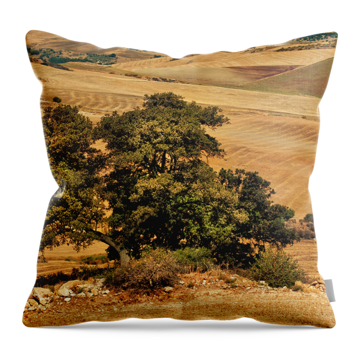 Jenny Rainbow Fine Art Photography Throw Pillow featuring the photograph Trees in the Fields. Andalusia by Jenny Rainbow