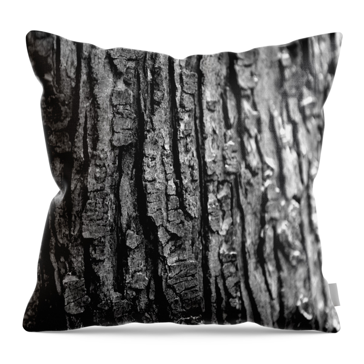 Trees Never Gone Throw Pillow featuring the photograph Trees Never Gone by Dorin Adrian Berbier