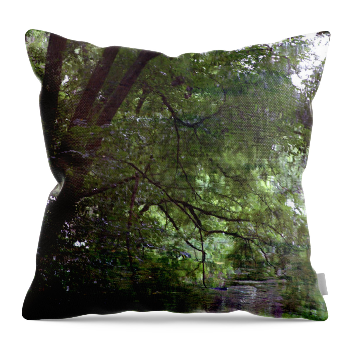Trees Throw Pillow featuring the photograph Trees Reflected in a Woodland Stream 2867 H_2 by Steven Ward