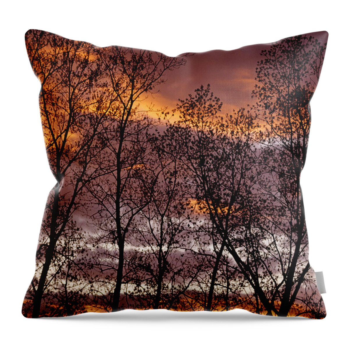 Nature Throw Pillow featuring the photograph Trees silhouetted by the setting sun by John Harmon