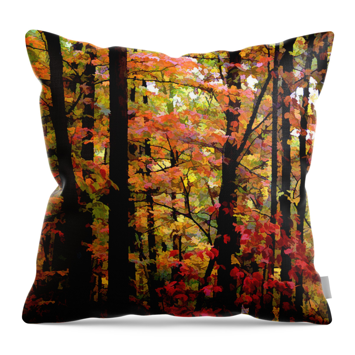 Land Throw Pillow featuring the photograph TreeScape No1 by Sam Davis Johnson