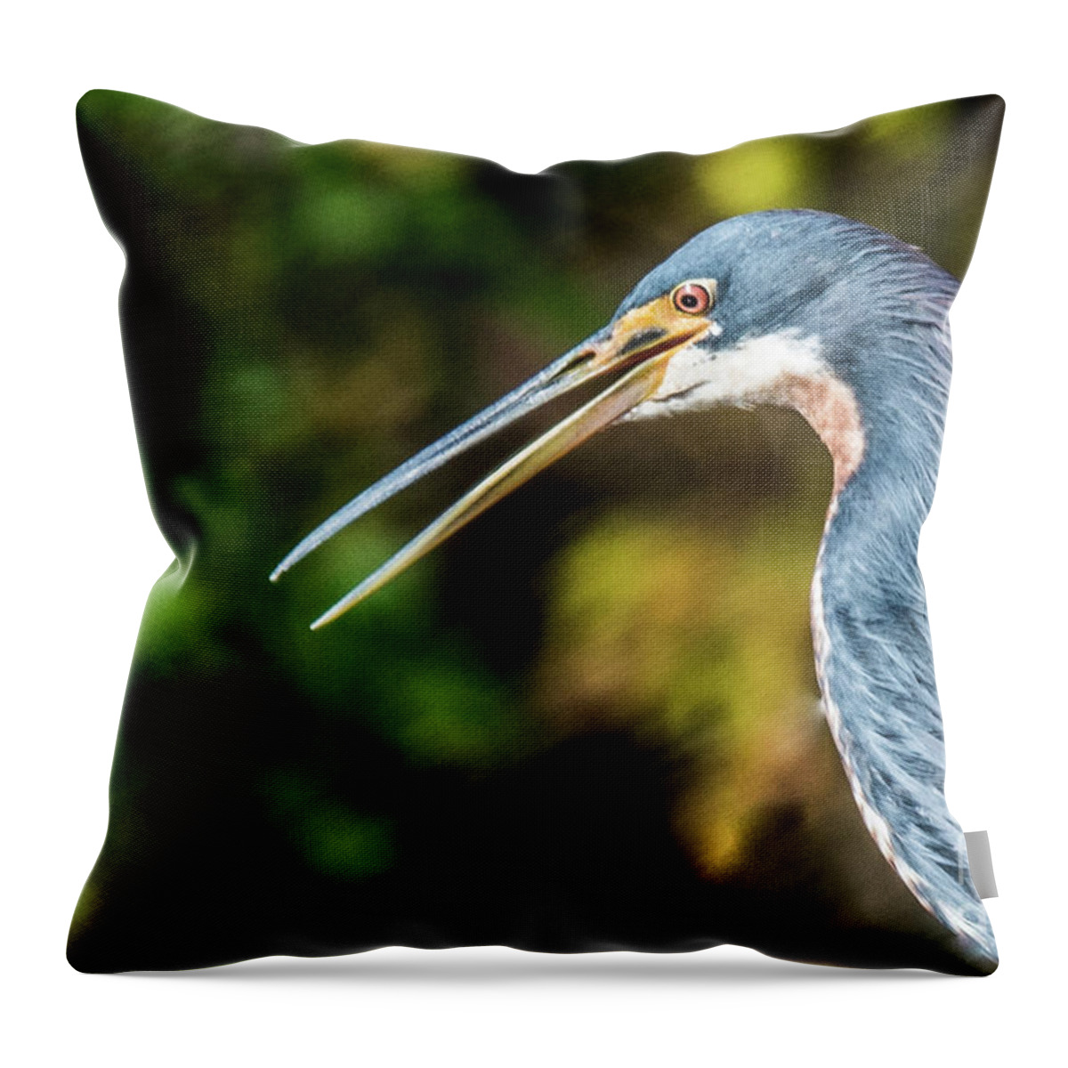 Heron Throw Pillow featuring the photograph Tri-Color Heron by John Greco