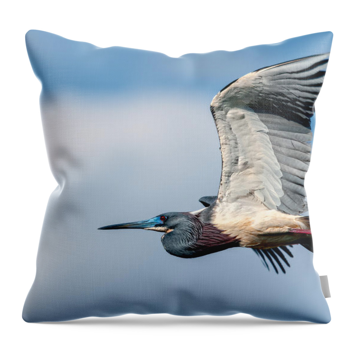 Art Throw Pillow featuring the photograph Tri-Colored Heron In Flight by Christopher Holmes