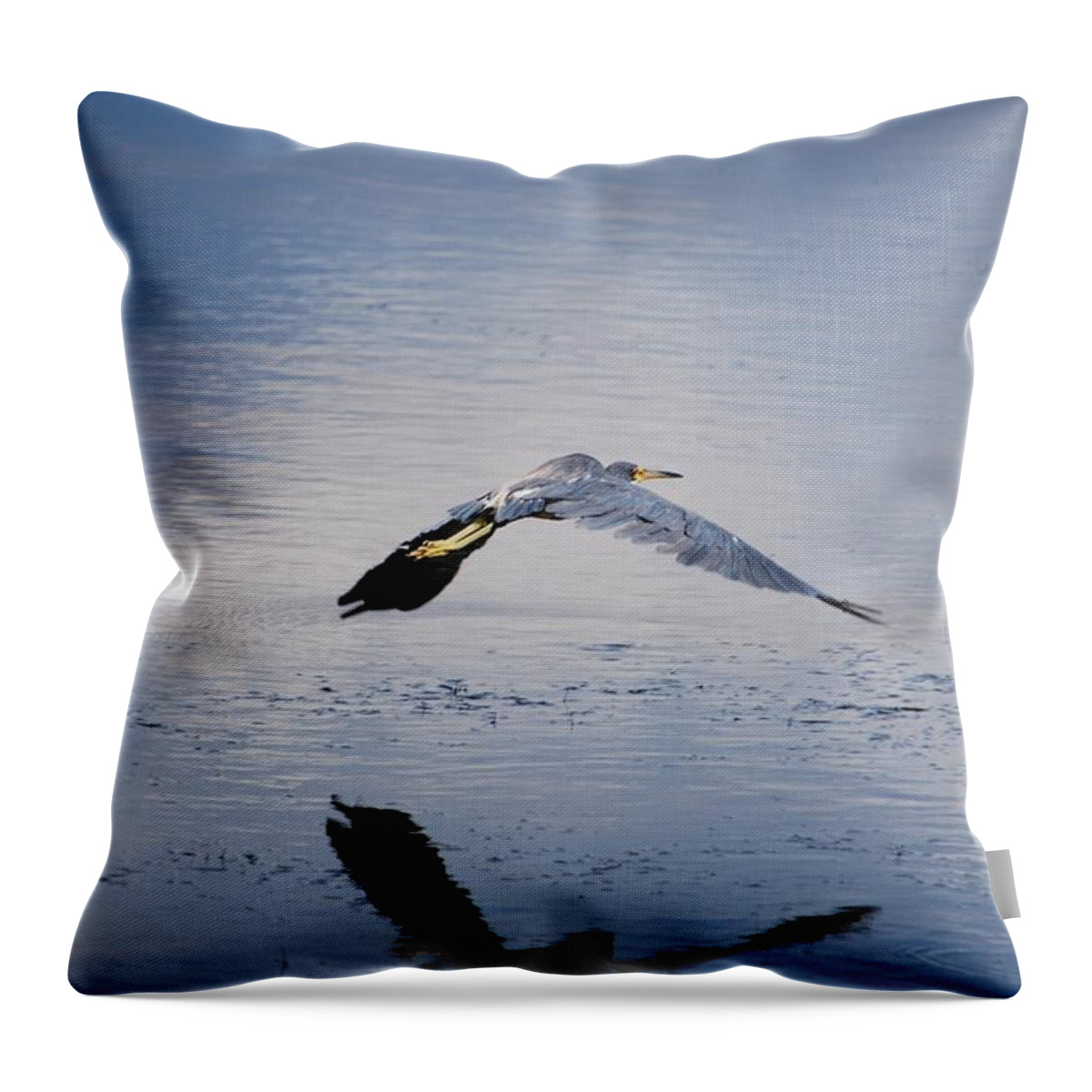 Tri-colored Heron In Flight Throw Pillow featuring the photograph Tri-colored Heron by Jim Bennight