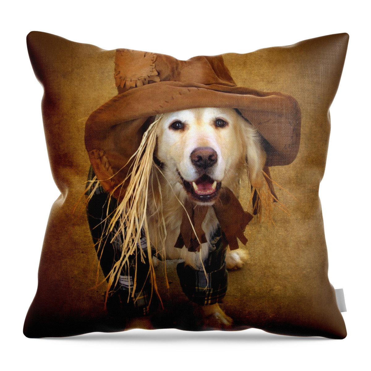 Animal Throw Pillow featuring the photograph Trick or Treat by Jessica Jenney