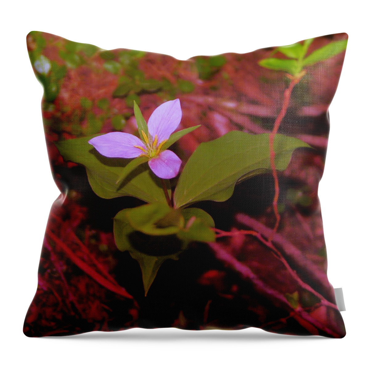Flowers Throw Pillow featuring the photograph Trilliam by Jeff Swan