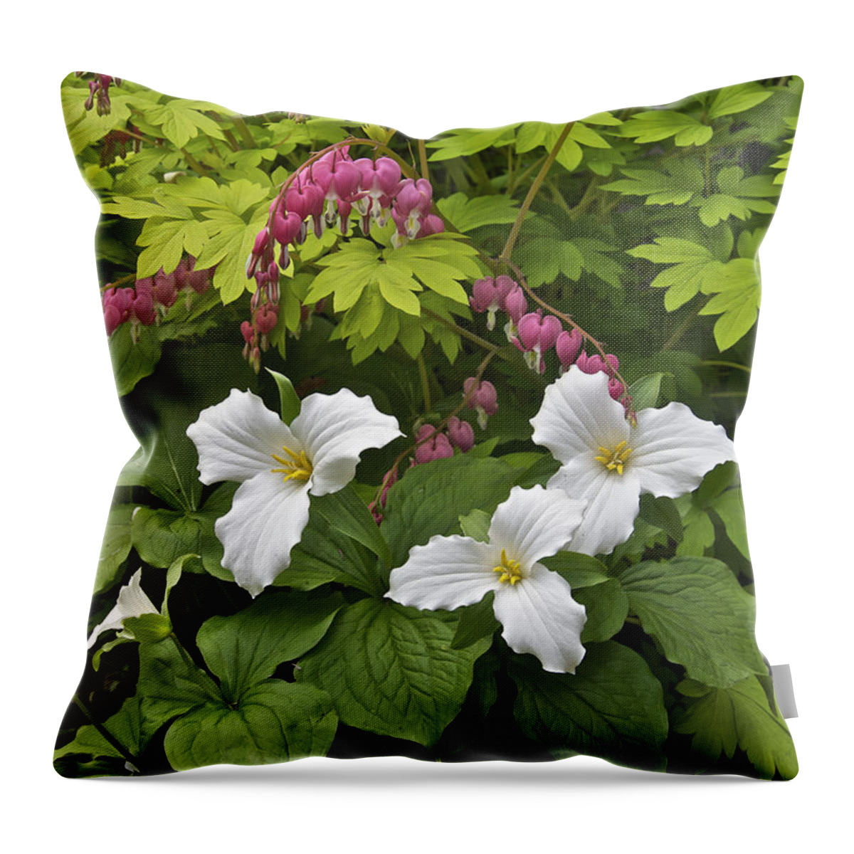 Trillium Throw Pillow featuring the photograph Trillium And Bleeding Hearts1079 by Michael Peychich