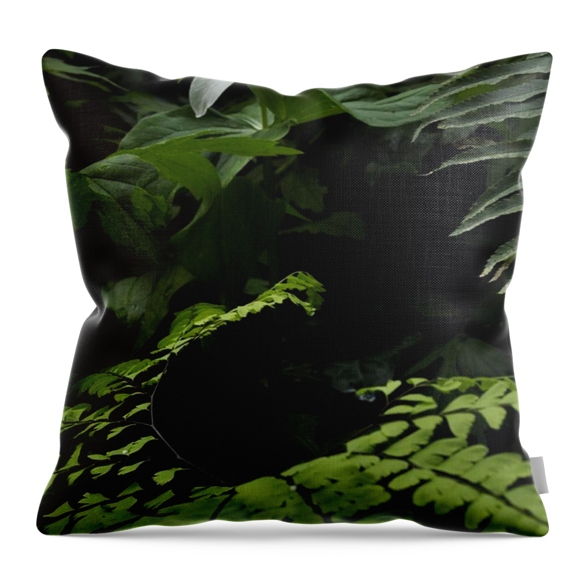 Flowers Throw Pillow featuring the photograph Trillium and Motion by Charles Lucas