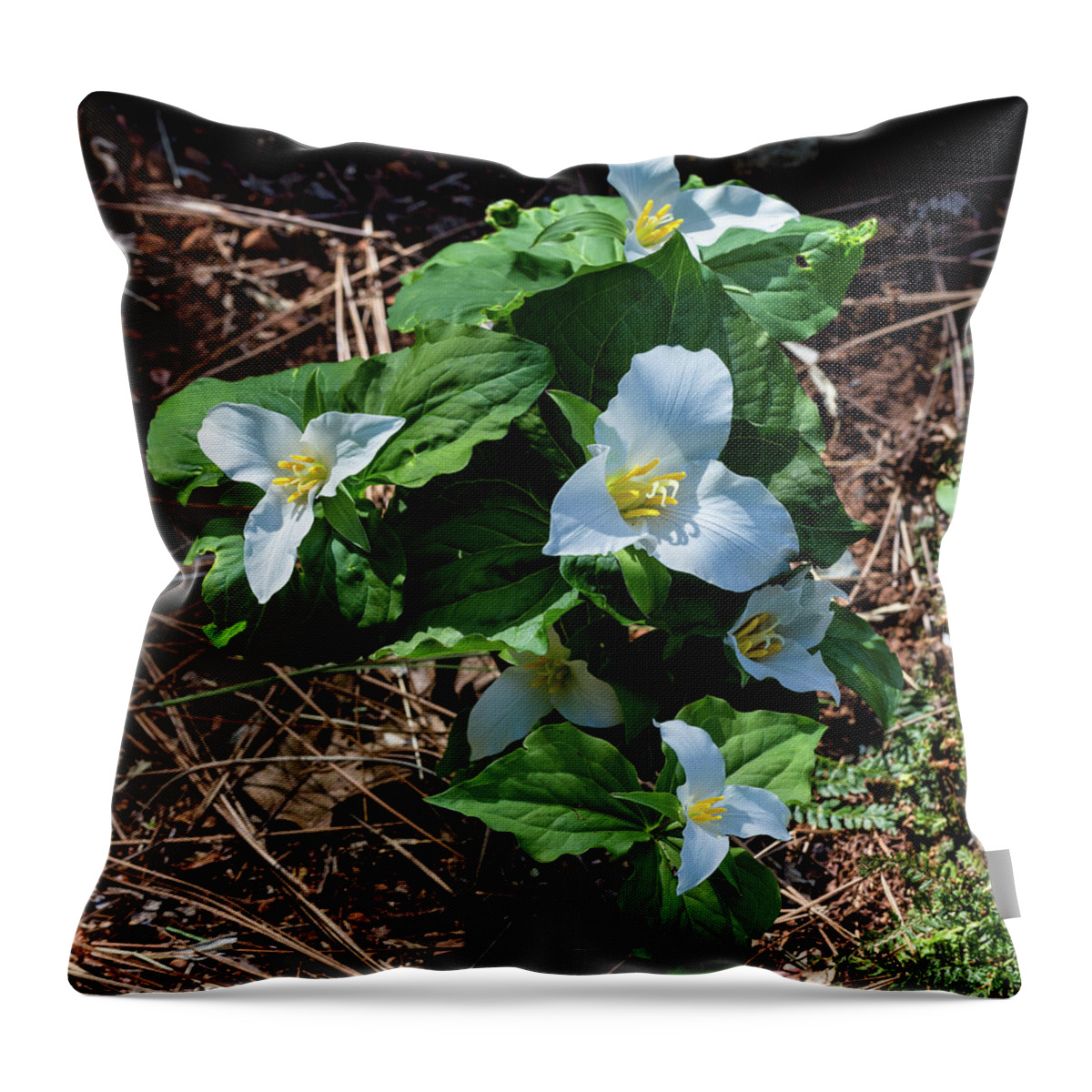 Trillium Throw Pillow featuring the photograph Trillium Bouquet in the Woods by Kathleen Bishop
