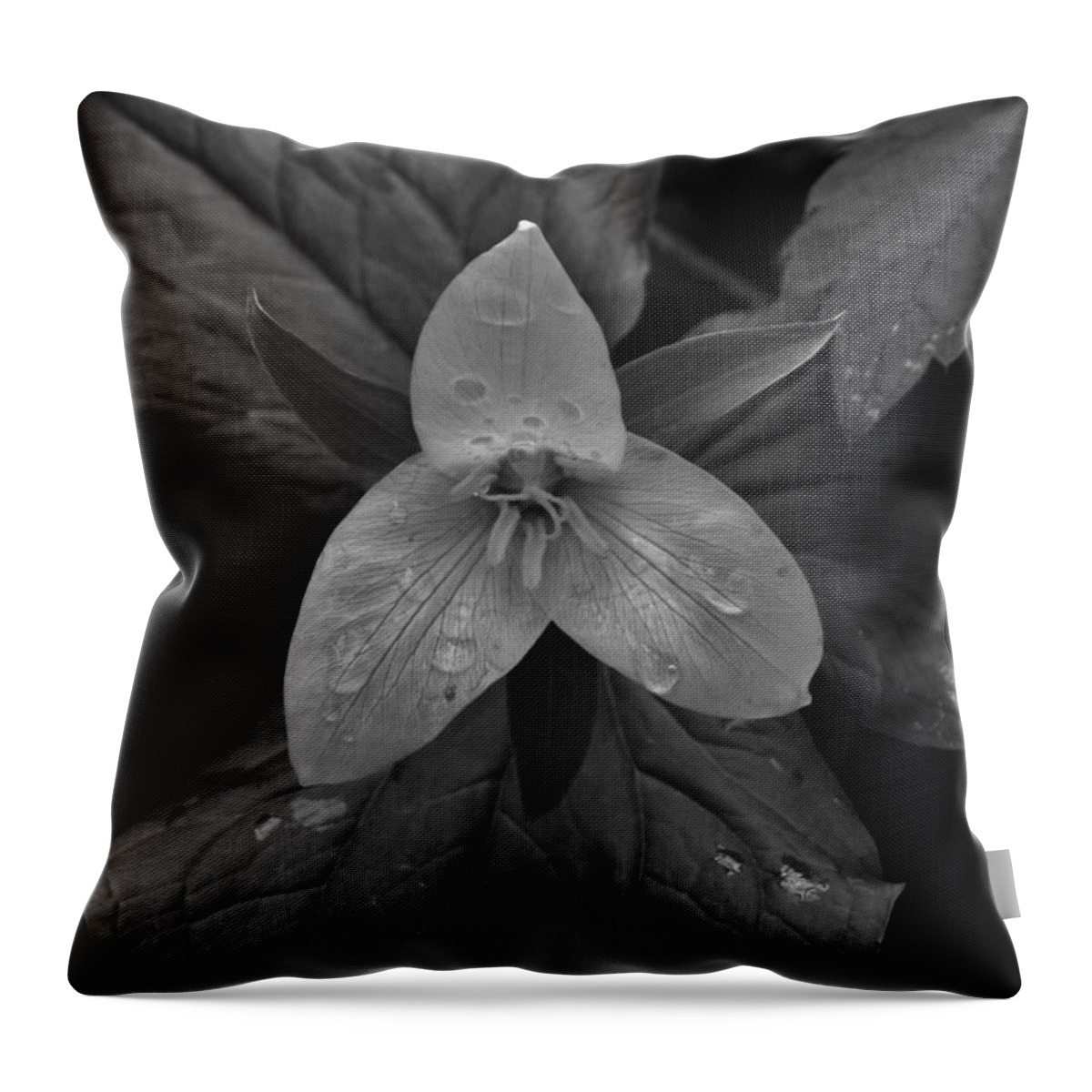 Flowers Throw Pillow featuring the photograph Trillium in Rainfall by Charles Lucas