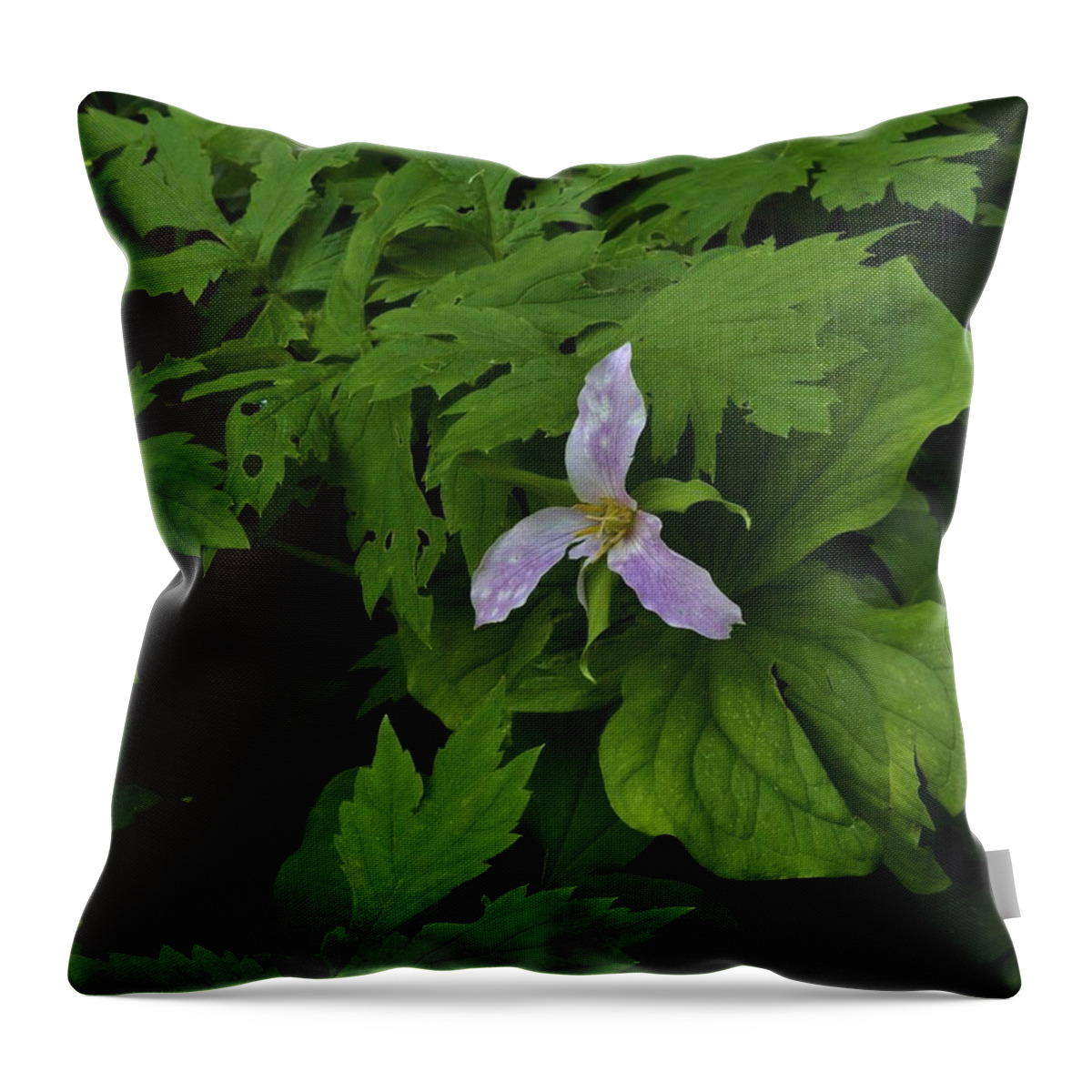 Flowers Throw Pillow featuring the photograph Trillium in the Forest by Charles Lucas