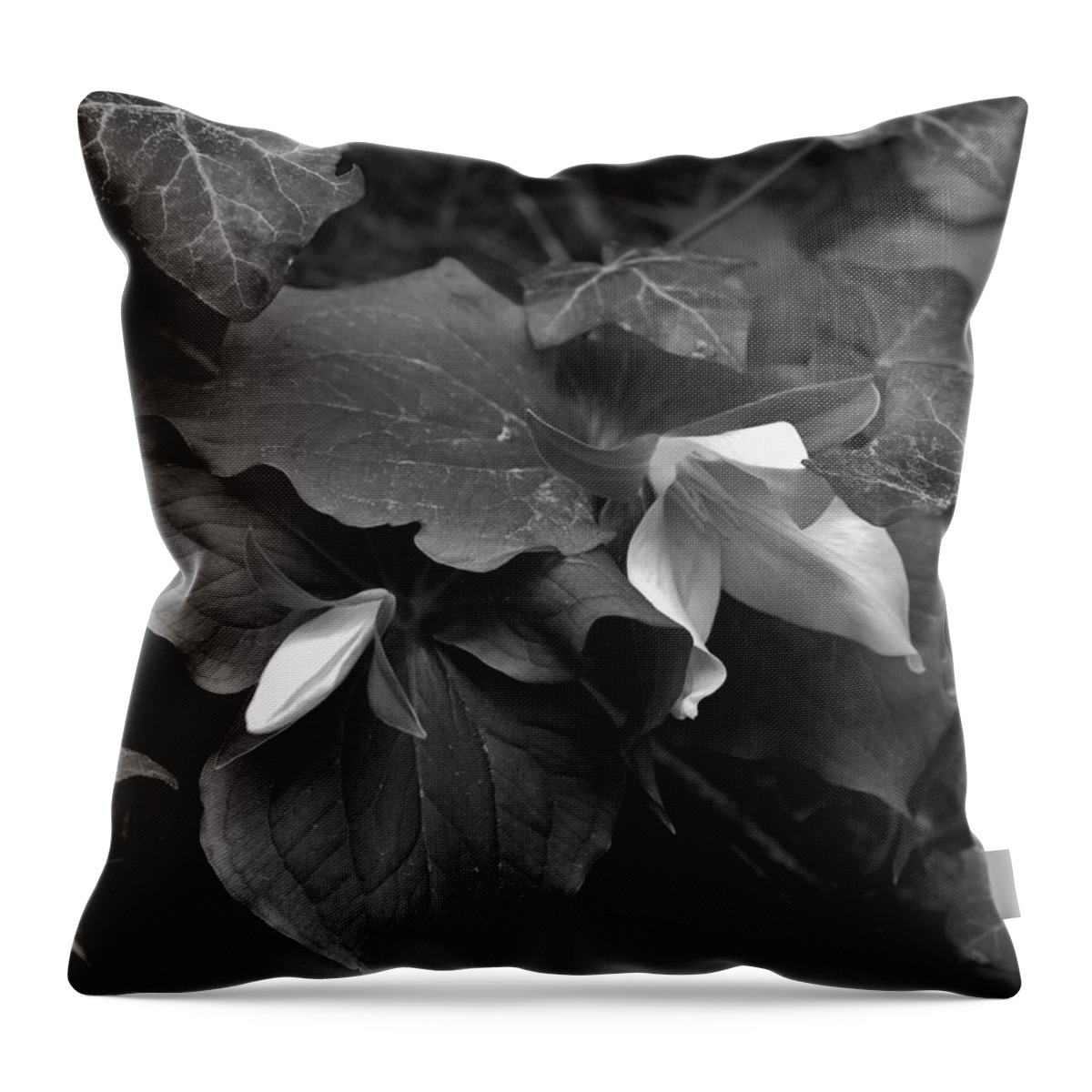 Flower Throw Pillow featuring the photograph Trillium with Bud BW by Charles Lucas