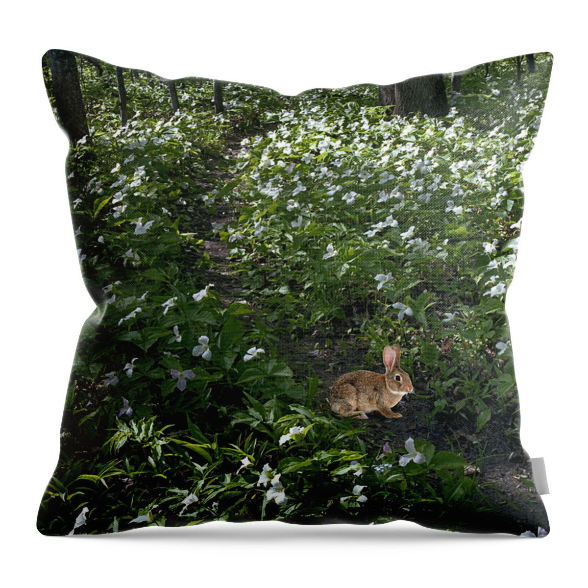 Trillium Woods Throw Pillow featuring the photograph Trillium Woods No. 3 by Kris Rasmusson