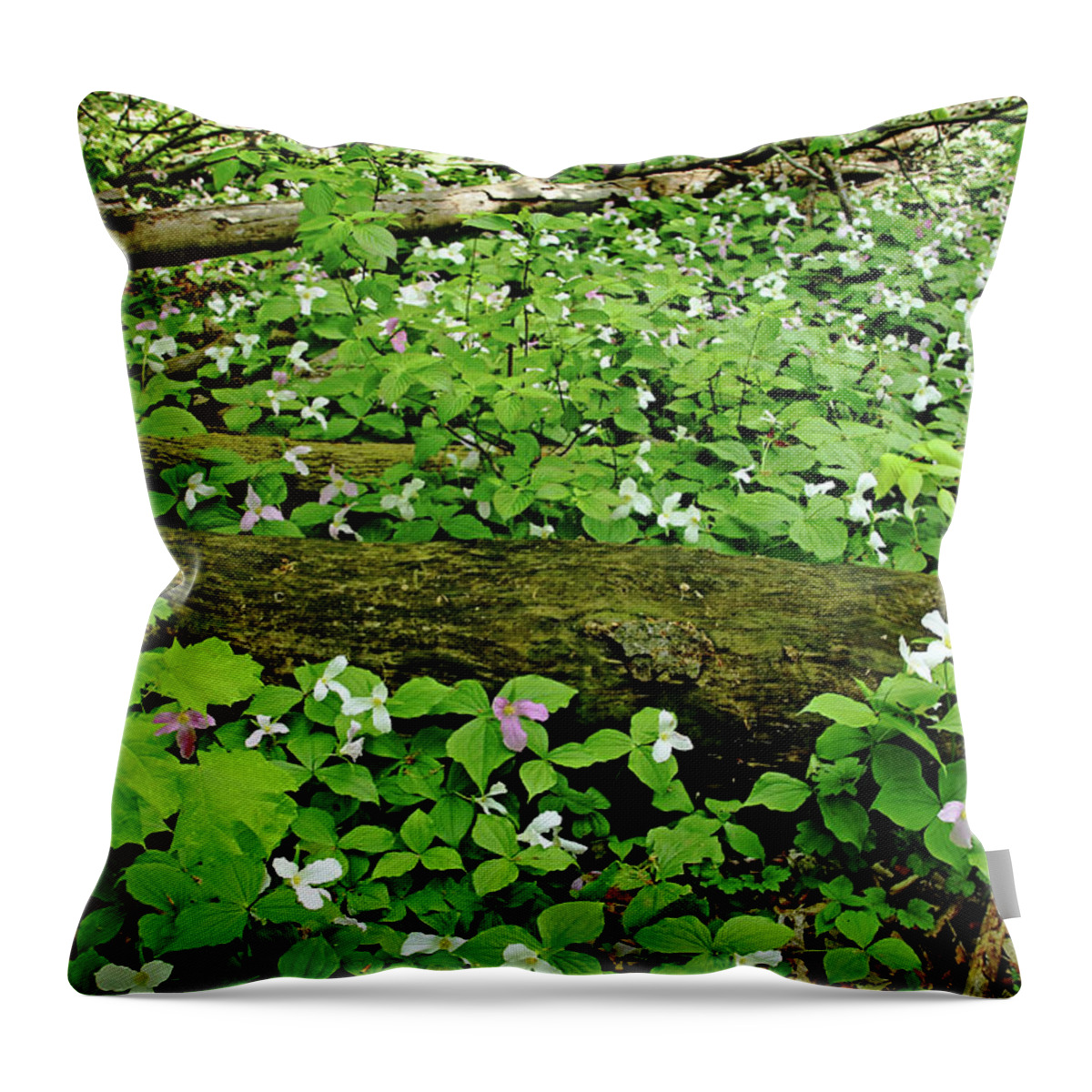 Trilliums Throw Pillow featuring the photograph Trillium Woods V by Debbie Oppermann