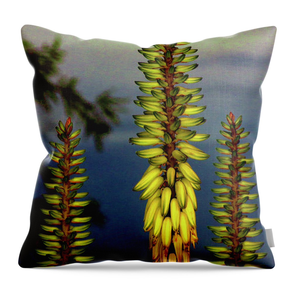 Flower Throw Pillow featuring the photograph Trinity by Hans Brakob